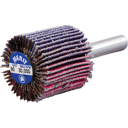 Shank Mounted Mini Flap Wheel, Ceramic Alumina, 80 Grit, 1" x 1" x 1/4" Par Equipment