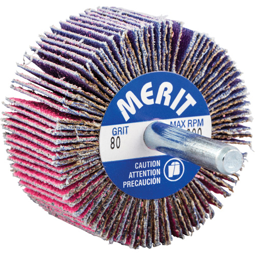 Mini-meule &agrave; lamelles mont&eacute;e sur tige, C&eacute;ramique d'alumine, Grain 80, 2" x 1" x 1/4" Par Equipment