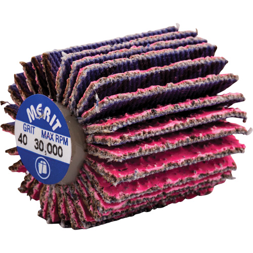 Threaded Mini Flap Wheel, Ceramic Alumina, 40 Grit, 1" x 1" x 1/4"-20 Par Equipment