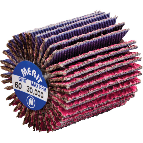 Threaded Mini Flap Wheel, Ceramic Alumina, 60 Grit, 1" x 1" x 1/4"-20 Par Equipment