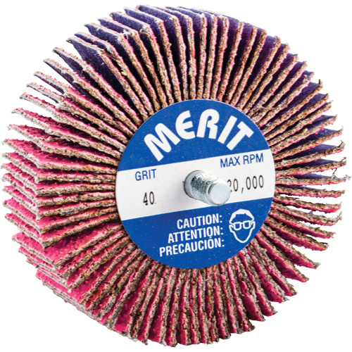 Threaded Mini Flap Wheel, Ceramic Alumina, 40 Grit, 3" x 1" x 1/4"-20 Par Equipment