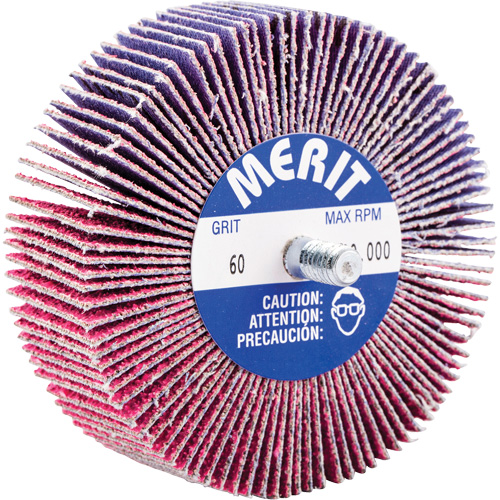Threaded Mini Flap Wheel, Ceramic Alumina, 60 Grit, 3" x 1" x 1/4"-20 Par Equipment