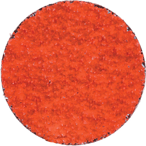 Blaze R980P Quick-Change Cloth Disc, 2" Dia., 36 Grit, Ceramic Alumina Par Equipment