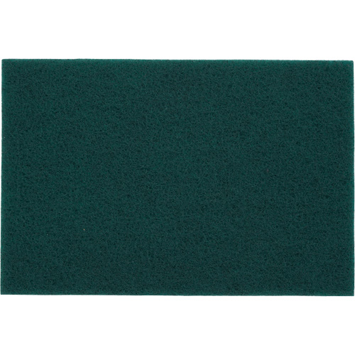 Tampons manuels Bear-Tex, Oxyde d'aluminium, 6" x 9", Grain Tr&egrave;s fin Par Equipment