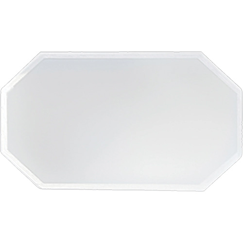 Replacement Plastic Shield for Suction & Pressure Cabinets Par Equipment