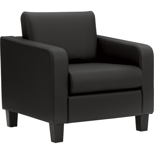 Suburb Lounge Chair Par Equipment