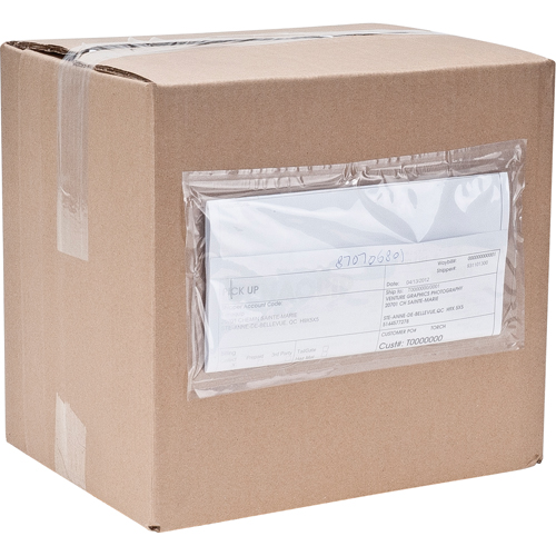 Packing List Envelopes, 4" L x 5" W, Endloading Style Par Equipment