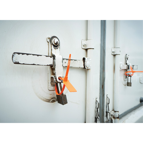 Scell&eacute; de s&eacute;curit&eacute;, 7-3/4", Plastique, Scell&eacute; pour camion Par Equipment