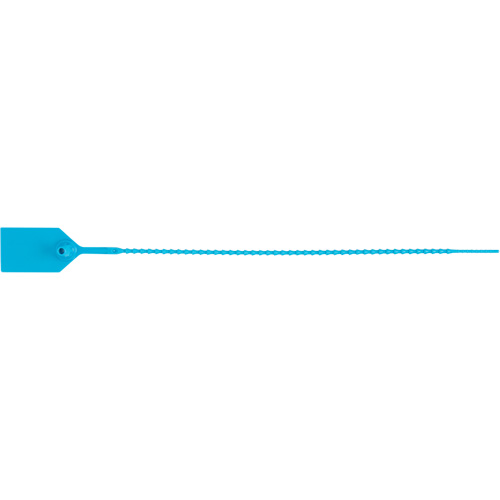 Standard-Duty Security Seal, 12", Plastic, Plastic Seal Par Equipment