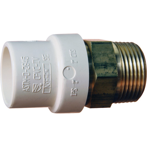 Threaded Pipe Adapter, Hub x MPT, 1" Dia., Brass/CPVC Par Equipment