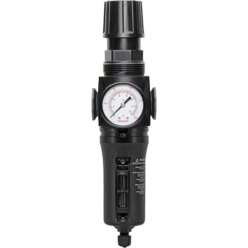 Filtre/r&eacute;gulateur drain manuel avec bol en m&eacute;tal Modulair 300, 1/4" NPT, 250 PSI, Capacit&eacute; de 5,1 oz liq. Par Equipment