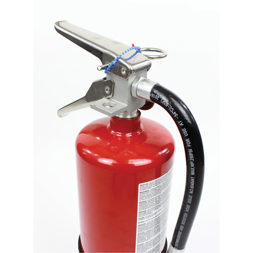Fire Extinguisher, ABC, 10 lbs. Capacity Par Equipment