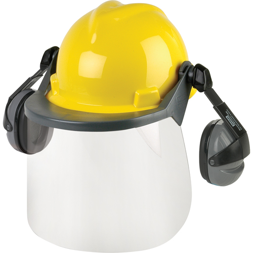 Head & Face Protection Systems Par Equipment