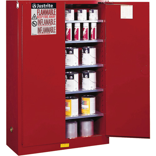 Armoire de s&eacute;curit&eacute; pour la peinture et les encres combustibles EX Sure-Grip, 60 gal., 5 tablettes Par Equipment