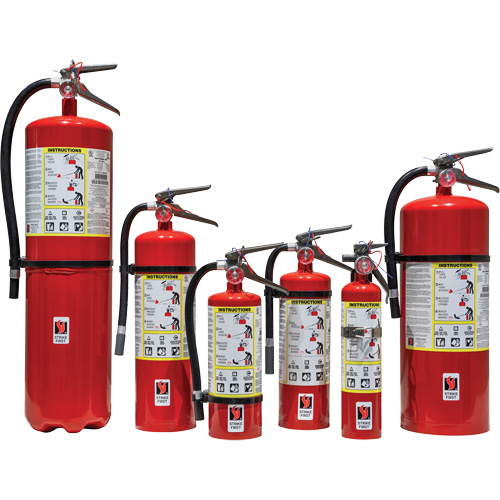Fire Extinguisher, ABC, 5 lbs. Capacity Par Equipment