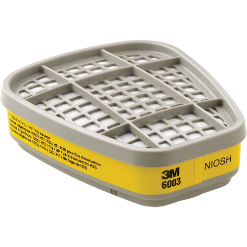 Cartouches pour respirateur s&eacute;rie 6000, Cartouche gaz/vapeur, Vapeurs organiques/Gaz acides Par Equipment