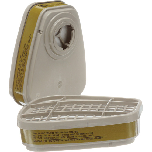 6000 Series Respirator Cartridges, Gas/Vapour Cartridge, Multi-Gas/Vapour Par Equipment