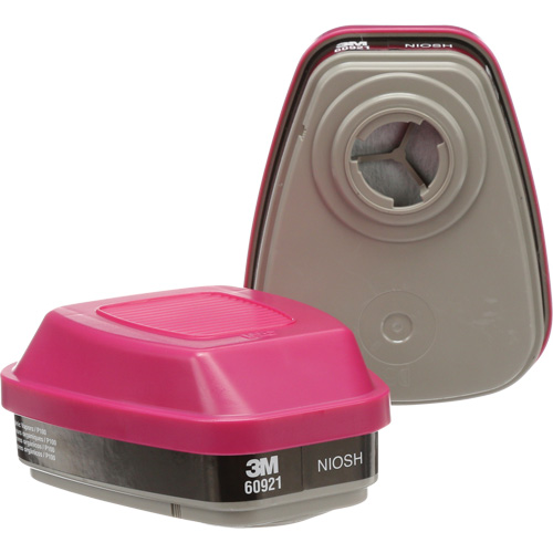 Cartouches pour respirateur s&eacute;rie 6000, Cartouche gaz/vapeur, Vapeurs organiques/P100 Par Equipment