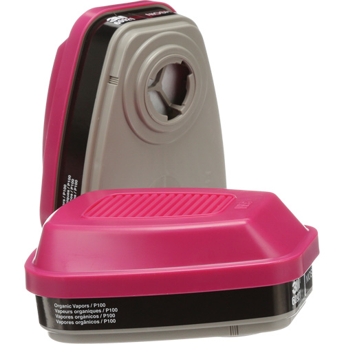 Cartouches pour respirateur s&eacute;rie 6000, Cartouche gaz/vapeur, Vapeurs organiques/P100 Par Equipment