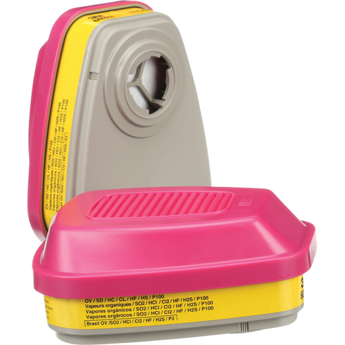 Cartouches pour respirateur s&eacute;rie 6000, Cartouche gaz/vapeur, Vapeurs organiques/Gaz acides/P100 Par Equipment