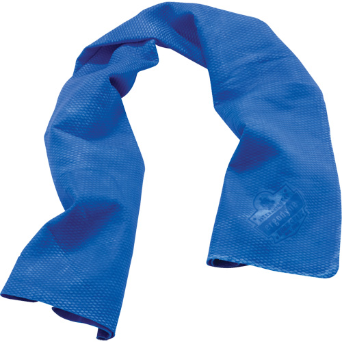 Chill-Its&reg; 6602 Cooling Towels, Blue Par Equipment