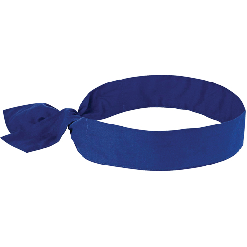 Chill-its&reg; 6700 Cooling Bandanas, Blue Par Equipment