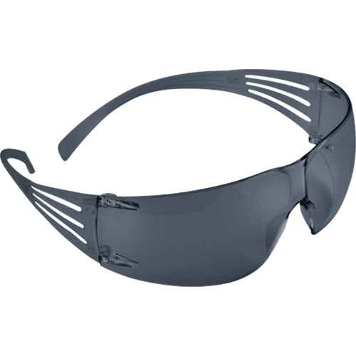 Securefit 200 Series Safety Glasses, Grey/Smoke Lens, Anti-Fog, ANSI Z87+/Meets/Exceeds CSA Z94.3 Par Equipment