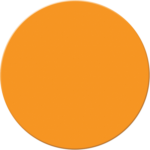 Marqueurs all&eacute;g&eacute;e/5S Armor Stripe, Cercle, 6" lo x 6" la, Orange, Plastique Par Equipment