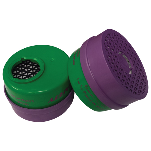 Cartouche pour respirateur, Combinaison cartouche et filtre contre les particules pour gaz/vapeurs, Ammoniac/M&eacute;thylamine/Filtre P100 Par Equipment