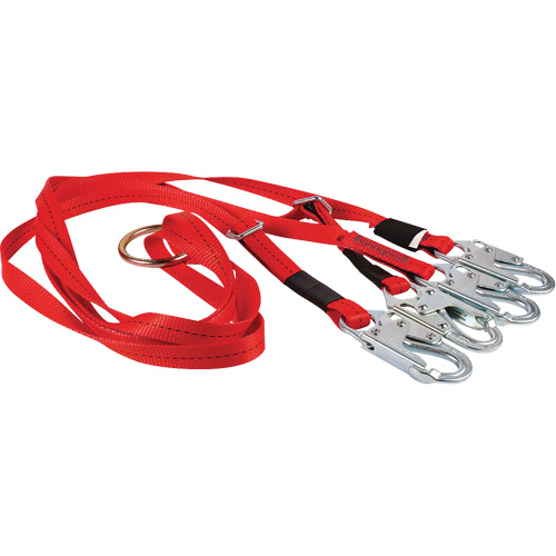 Dynamic Bridle for Wire Basket Stretcher Par Equipment