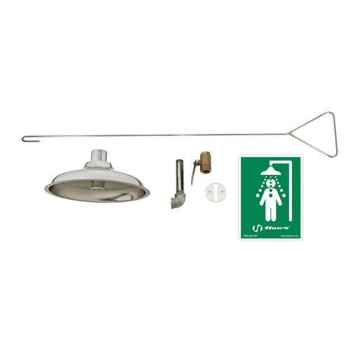 Concealed Drench Shower, Ceiling-Mount Par Equipment