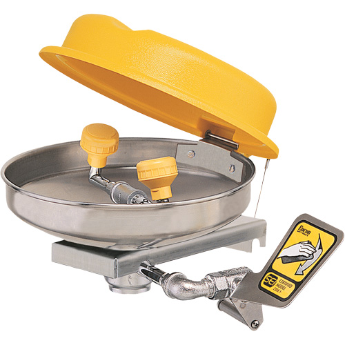 Eyewash Station, Wall-Mount Installation, Stainless Steel Bowl Par Equipment