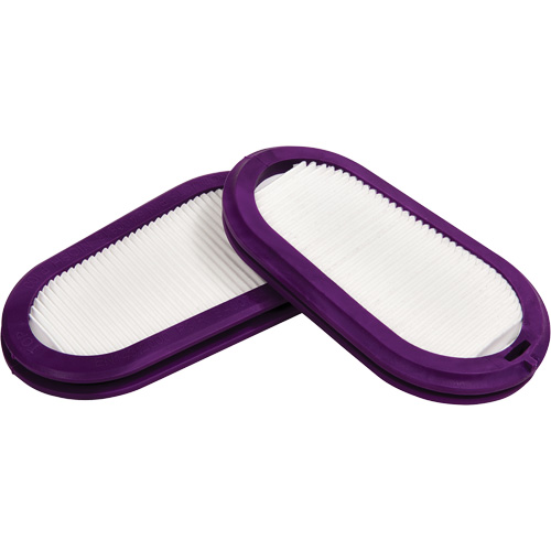 Filtres de remplacement, Filtre contre les particules, Filtre P100 Par Equipment