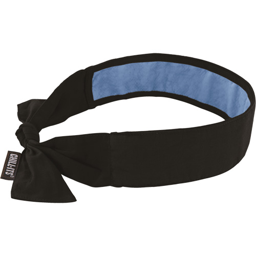 Foulard de refroidissement Chill-Its 6700CT, Noir Par Equipment