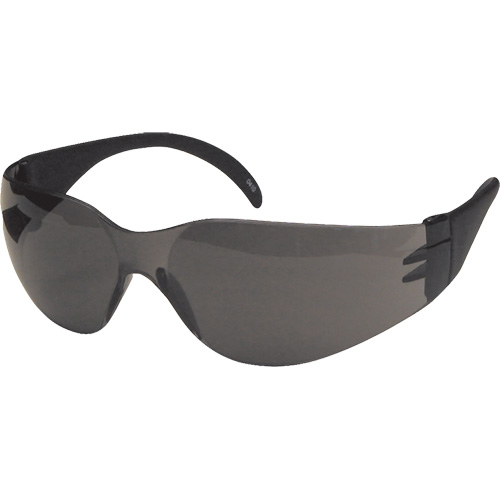 Lunettes de s&eacute;curit&eacute; CeeTec, Lentille Gris, Antibu&eacute;e/Anti-&eacute;gratignures, R&eacute;pond ou surpasse la norme CSA Z94.3 Par Equipment