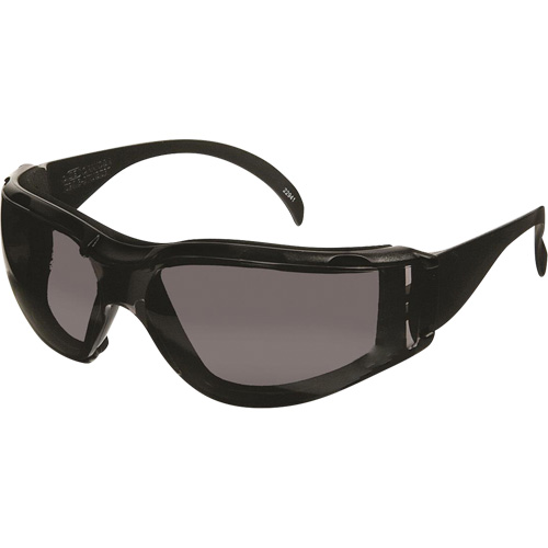 Lunettes de s&eacute;curit&eacute; CeeTec DX, Lentille Gris, Antibu&eacute;e/Anti-&eacute;gratignures, R&eacute;pond ou surpasse la norme CSA Z94.3 Par Equipment