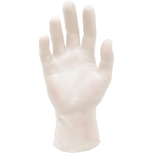 Synthetic Stretch Medical Examination Gloves, Large, Vinyl, 5-mil, Powder-Free, White, Class 2 Par Equipment
