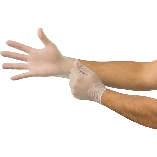 Gants jetables MicroFlex, Petit, Vinyle, 2,8 mil, Sans poudre, Transparent Par Equipment