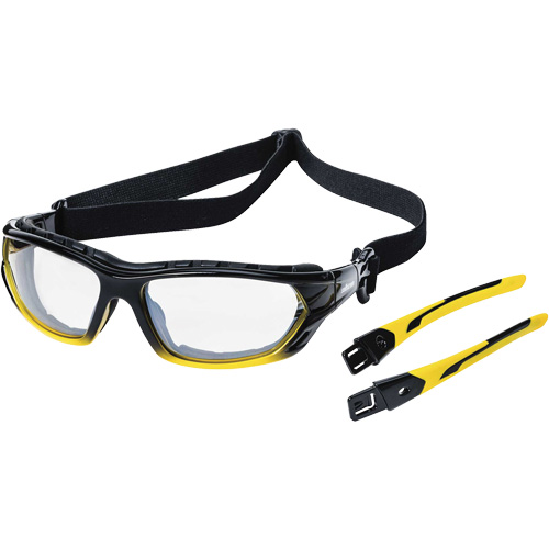 XPS530 Sealed Safety Glasses, Indoor/Outdoor Lens, Anti-Scratch, ANSI Z87+/Meets/Exceeds CSA Z94.3 Par Equipment