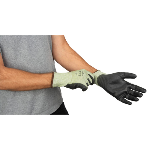 Gants &eacute;lastiques &eacute;cologiques sans coutures r&eacute;sistants &agrave; la coupe, Taille 10, Calibre 13, Rev&ecirc;tement Polyur&eacute;thane, Enveloppe en PEHP/rPET, ASTM ANSI niveau A4 Par Equipment