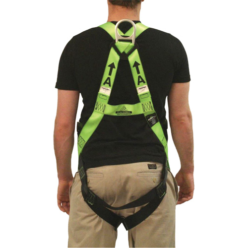 FBH-10000L Contractor Series Safety Harness, CSA Certified, Class AL, 400 lbs. Cap. Par Equipment