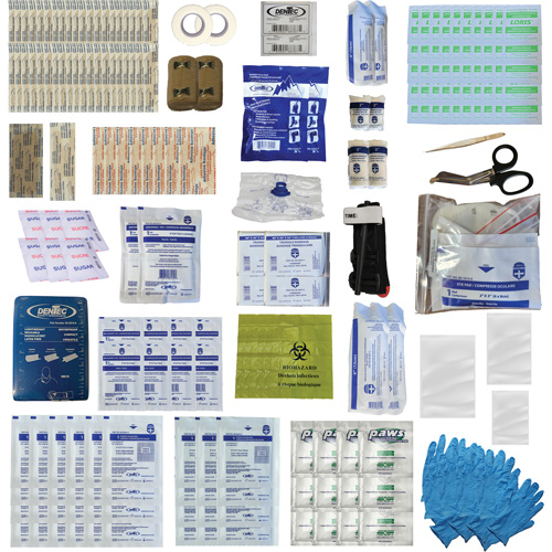 Shield First Aid Kit, Meets/Exceeds CSA Z1220-24 Type 3 High-Risk Environment, Medium (26-50 Workers) Par Equipment