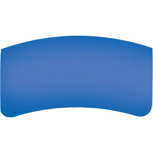 Lentille ext&eacute;rieure Bullard GenVX PETG Par Equipment