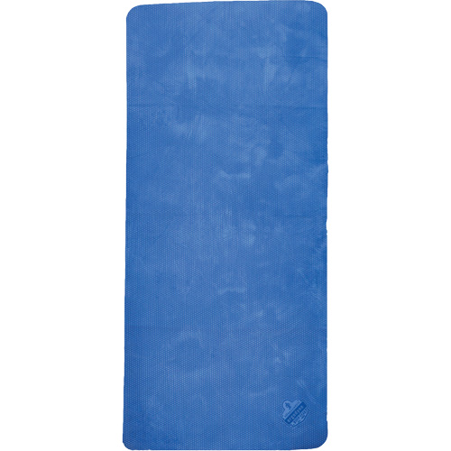 Chill-Its 6601 Economy Evaporative Cooling Towel, Blue Par Equipment