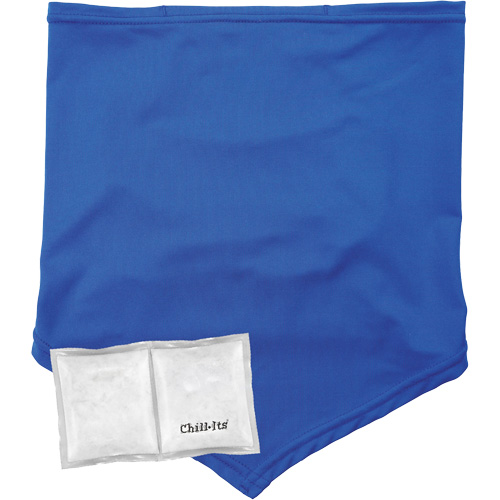 Cache-cou/bandana de refroidissement Chill-Its 6482 avec sachet r&eacute;frig&eacute;rant &agrave; changement de phase r&eacute;utilisable, grand/tr&egrave;s-grand, Bleu Par Equipment
