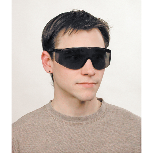 Tacoma&reg; Safety Glasses, Grey/Smoke Lens, Anti-Scratch, ANSI Z87+ Par Equipment