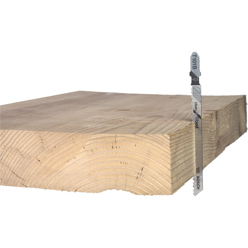 Lame de scie alternative pour la coupe du bois, Acier &agrave; haute teneur en carbone, Tige en T, 4" lo, 10 dents par pouce Par Equipment