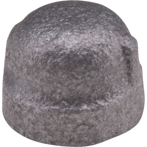 Cap, 1/8", Malleable Iron Par Equipment