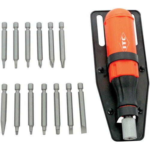 15-Piece Multi-Bit Screwdriver Set, Plastic Handle Par Equipment