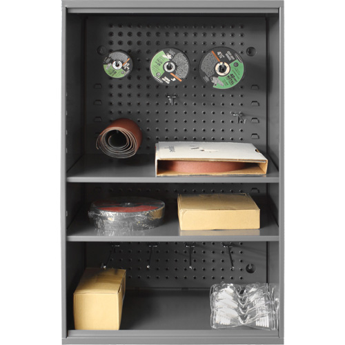 Abrasive Storage Cabinet with Pegboard, Steel, 19-7/8" x 14-1/4" x 32-3/4", Grey Par Equipment